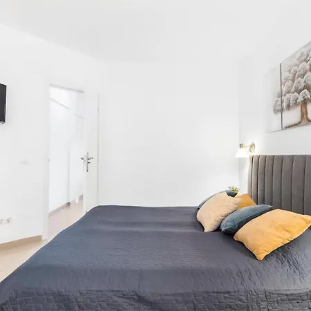 Apartment Paraiso Del Sur Costa Adeje (Tenerife)